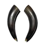 10″ Bull Horns