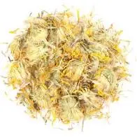 Arnica