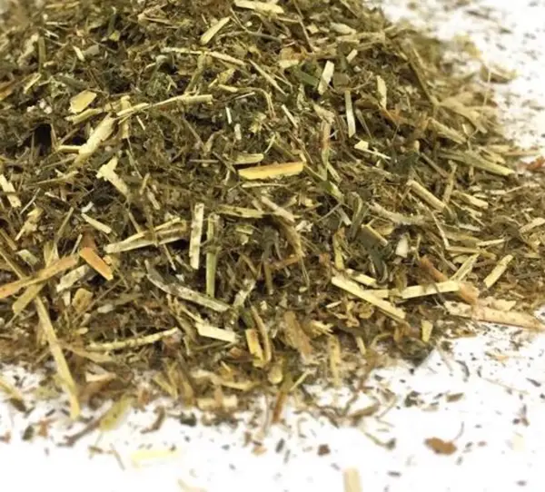 Bayberry Herb