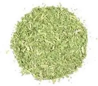 Blessed Thistle