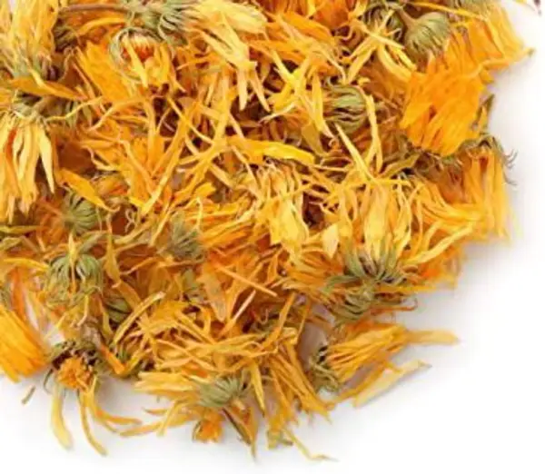 Calendula