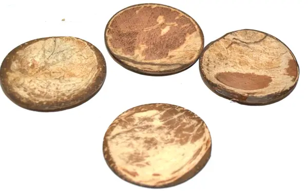 Chomolongos