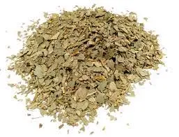 Eucalyptus