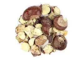 Horse Chestnuts