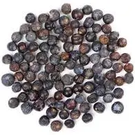 Juniper Berries