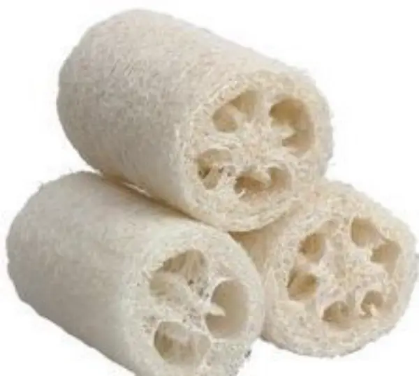 Loofa