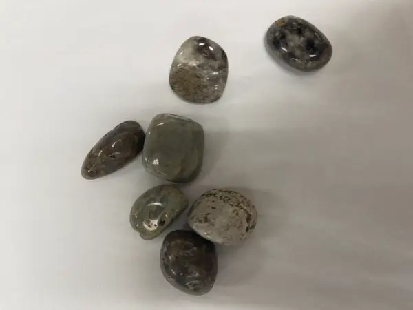Ocean Jasper