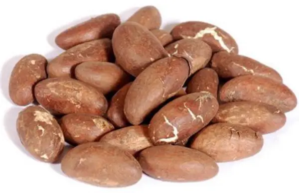 Orogbo- Bitter Kola (4 Pieces)