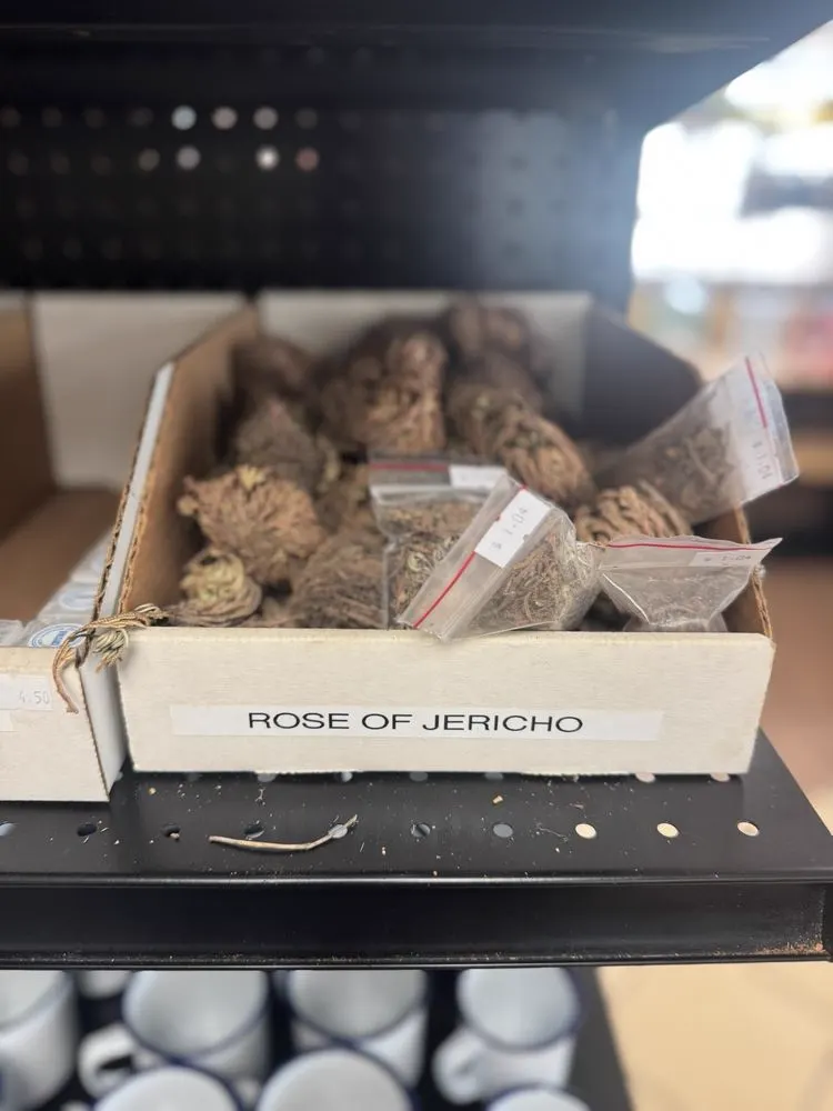 A box of Rose of Jericho