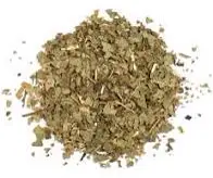 Sassafras