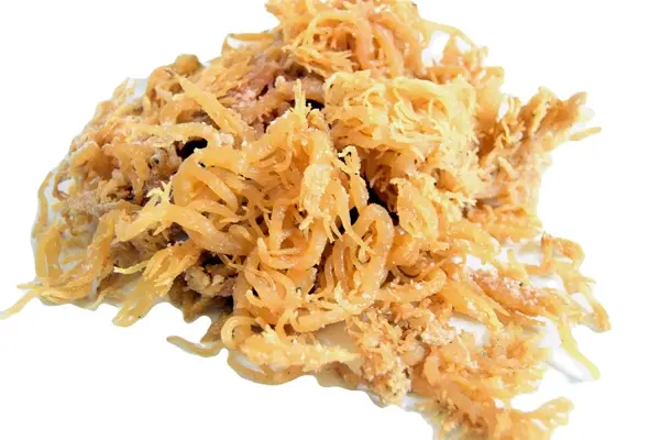 Sea Moss