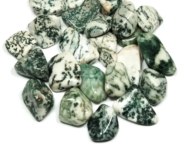 Tree Agate