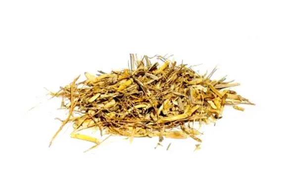 Witches Grass